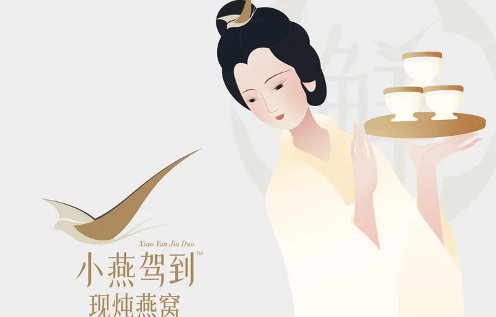 小燕驾到现炖燕窩｜燕窩女性品牌全案设计案例